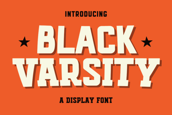 Evaluating Black Varsity for Modern Design Projects